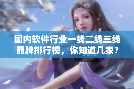 國(guó)內(nèi)軟件行業(yè)一線(xiàn)二線(xiàn)三線(xiàn)品牌排行榜，你知道幾家？