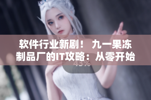軟件行業(yè)新??！ 九一果凍制品廠的IT攻略：從零開(kāi)始寫(xiě)出完美軟件