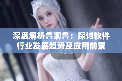 深度解析魯啊魯：探討軟件行業(yè)發(fā)展趨勢(shì)及應(yīng)用前景