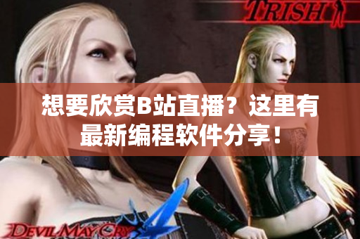 想要欣賞B站直播？這里有最新編程軟件分享！