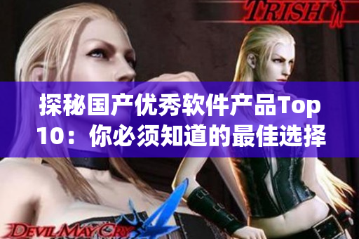 探秘國產(chǎn)優(yōu)秀軟件產(chǎn)品Top10：你必須知道的最佳選擇！
