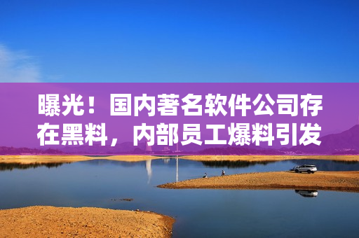 曝光！國(guó)內(nèi)著名軟件公司存在黑料，內(nèi)部員工爆料引發(fā)關(guān)注