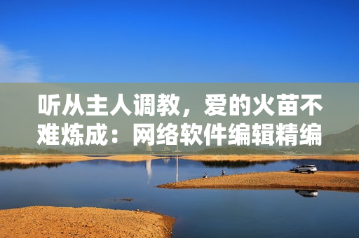 聽從主人調(diào)教，愛的火苗不難煉成：網(wǎng)絡(luò)軟件編輯精編43篇心得分享