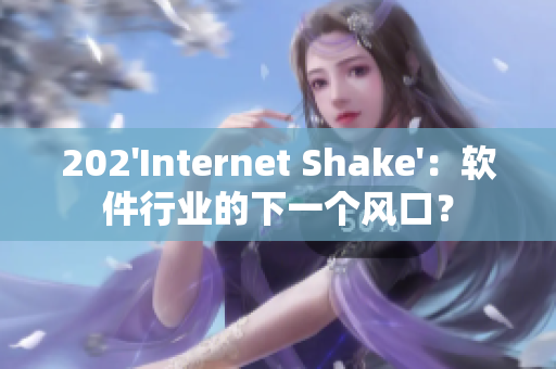 202'Internet Shake'：軟件行業(yè)的下一個(gè)風(fēng)口？