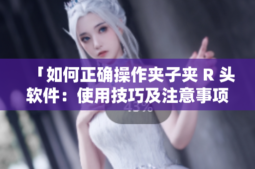 「如何正確操作夾子夾 R 頭軟件：使用技巧及注意事項(xiàng)」