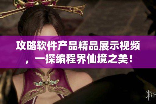 攻略軟件產(chǎn)品精品展示視頻，一探編程界仙境之美！