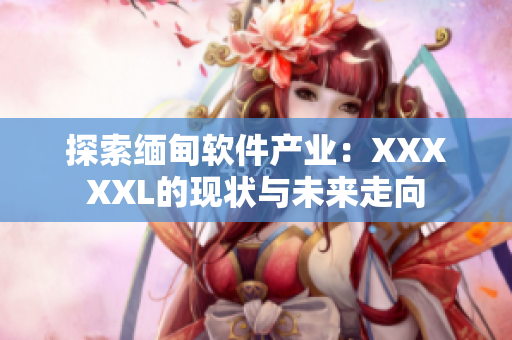 探索緬甸軟件產(chǎn)業(yè)：XXXXXL的現(xiàn)狀與未來走向