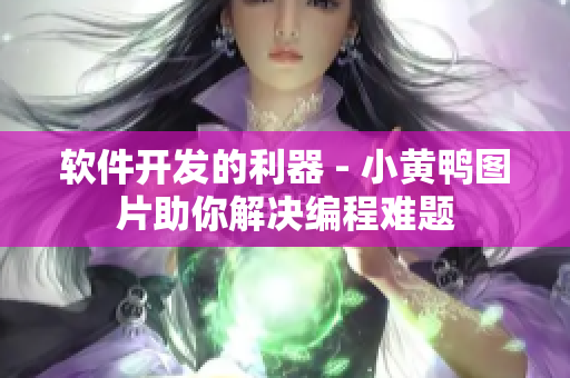 軟件開發(fā)的利器 - 小黃鴨圖片助你解決編程難題