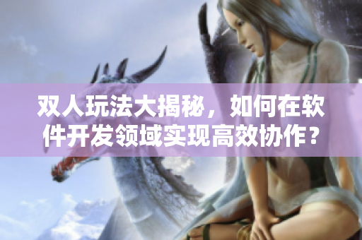雙人玩法大揭秘，如何在軟件開發(fā)領(lǐng)域?qū)崿F(xiàn)高效協(xié)作？