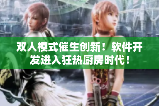 雙人模式催生創(chuàng)新！軟件開發(fā)進(jìn)入狂熱廚房時(shí)代！