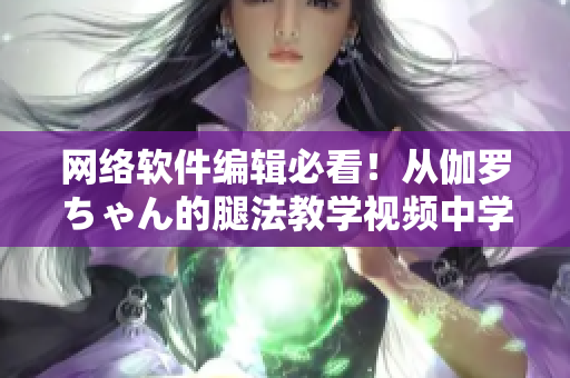 網(wǎng)絡(luò)軟件編輯必看！從伽羅ちゃん的腿法教學(xué)視頻中學(xué)習(xí)軟件編寫技巧！