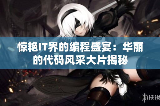 驚艷IT界的編程盛宴：華麗的代碼風(fēng)采大片揭秘