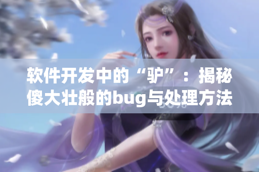 軟件開(kāi)發(fā)中的“驢”：揭秘傻大壯般的bug與處理方法