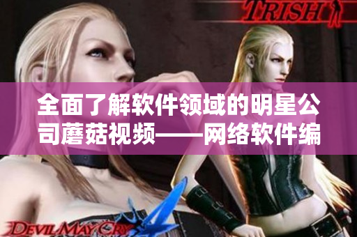 全面了解軟件領(lǐng)域的明星公司蘑菇視頻——網(wǎng)絡(luò)軟件編輯專情解讀