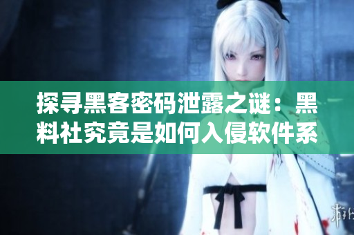 探尋黑客密碼泄露之謎：黑料社究竟是如何入侵軟件系統(tǒng)的？