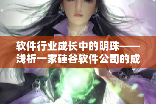 軟件行業(yè)成長(zhǎng)中的明珠——淺析一家硅谷軟件公司的成功之路