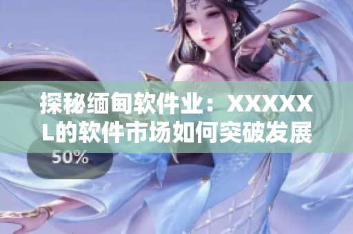探秘緬甸軟件業(yè)：XXXXXL的軟件市場如何突破發(fā)展瓶頸？