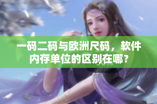 一碼二碼與歐洲尺碼，軟件內(nèi)存單位的區(qū)別在哪？