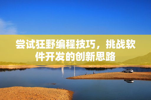 嘗試狂野編程技巧，挑戰(zhàn)軟件開(kāi)發(fā)的創(chuàng)新思路