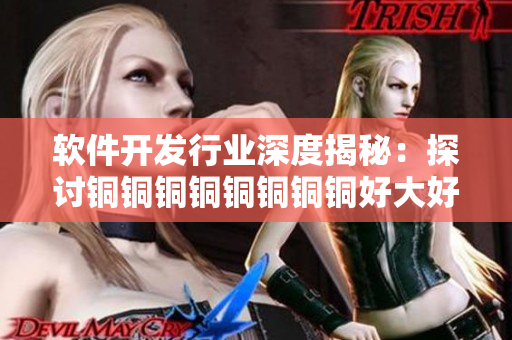 軟件開發(fā)行業(yè)深度揭秘：探討銅銅銅銅銅銅銅銅好大好深板與技術(shù)創(chuàng)新的關(guān)聯(lián)