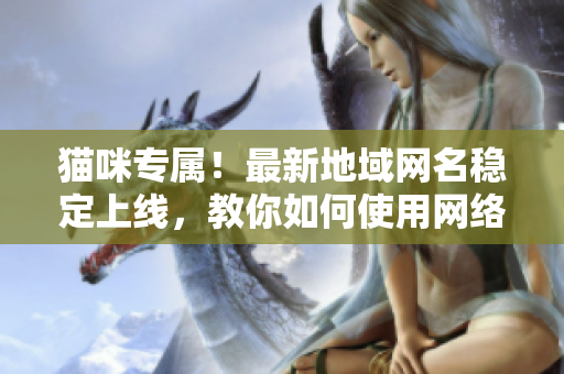 貓咪專(zhuān)屬！最新地域網(wǎng)名穩(wěn)定上線(xiàn)，教你如何使用網(wǎng)絡(luò)傳輸軟件連接