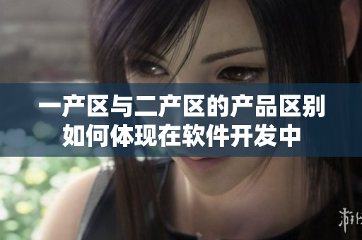 一產(chǎn)區(qū)與二產(chǎn)區(qū)的產(chǎn)品區(qū)別如何體現(xiàn)在軟件開發(fā)中