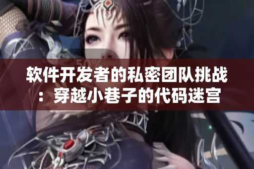 軟件開發(fā)者的私密團(tuán)隊(duì)挑戰(zhàn)：穿越小巷子的代碼迷宮