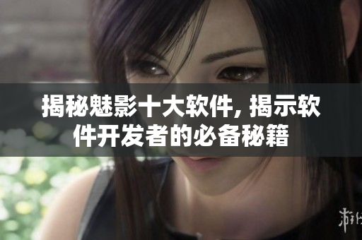 揭秘魅影十大軟件, 揭示軟件開發(fā)者的必備秘籍