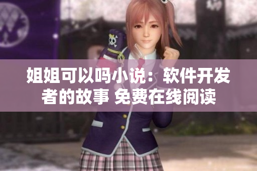 姐姐可以嗎小說(shuō)：軟件開發(fā)者的故事 免費(fèi)在線閱讀