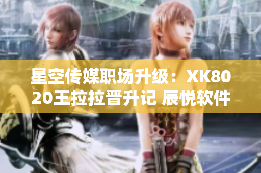 星空傳媒職場升級：XK8020王拉拉晉升記 辰悅軟件之路