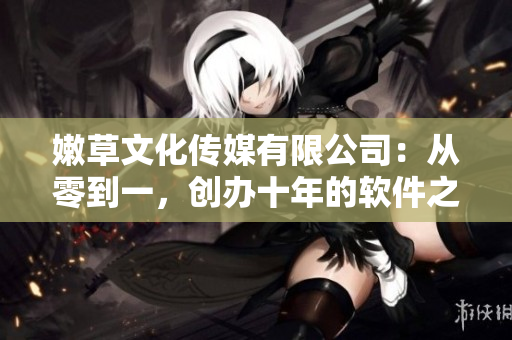 嫩草文化傳媒有限公司：從零到一，創(chuàng)辦十年的軟件之路