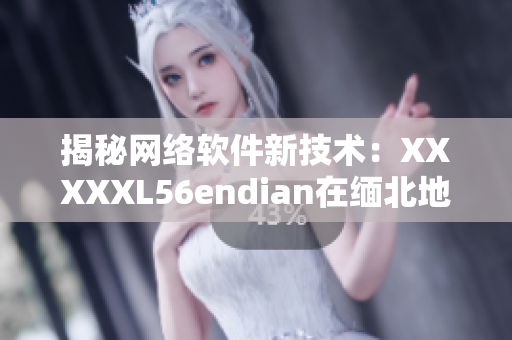 揭秘網(wǎng)絡(luò)軟件新技術(shù)：XXXXXL56endian在緬北地區(qū)的應(yīng)用實(shí)踐