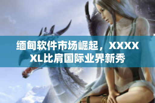 緬甸軟件市場(chǎng)崛起，XXXXXL比肩國際業(yè)界新秀