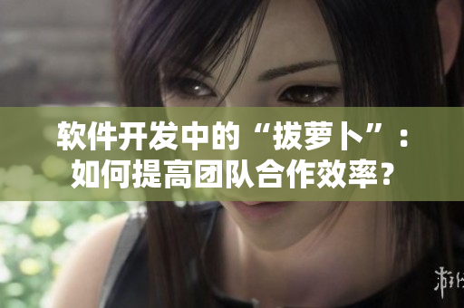 軟件開發(fā)中的“拔蘿卜”：如何提高團(tuán)隊(duì)合作效率？