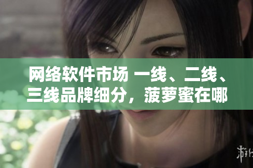 網(wǎng)絡(luò)軟件市場 一線、二線、三線品牌細(xì)分，菠蘿蜜在哪個(gè)位置？