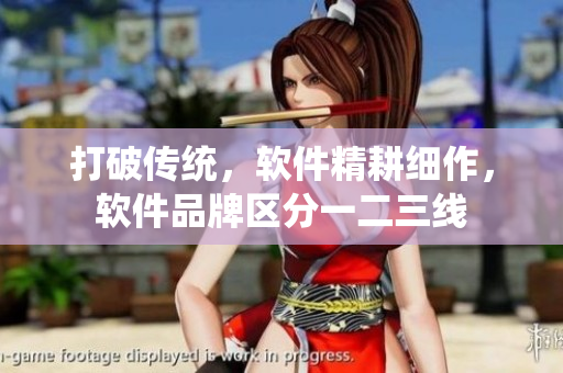 打破傳統(tǒng)，軟件精耕細(xì)作，軟件品牌區(qū)分一二三線