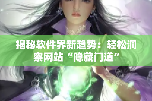 揭秘軟件界新趨勢：輕松洞察網(wǎng)站“隱藏門道”