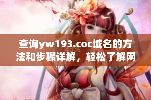 查詢yw193.coc域名的方法和步驟詳解，輕松了解網(wǎng)絡(luò)域名解析流程
