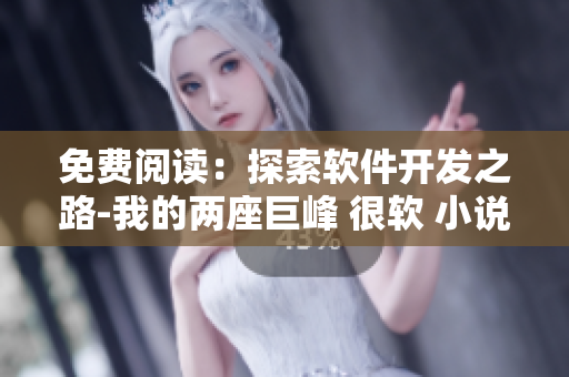 免費(fèi)閱讀：探索軟件開(kāi)發(fā)之路-我的兩座巨峰 很軟 小說(shuō)
