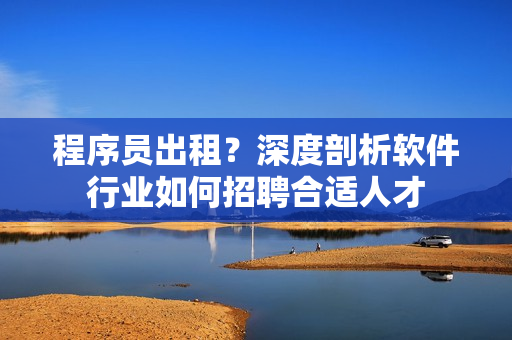 程序員出租？深度剖析軟件行業(yè)如何招聘合適人才