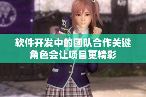 軟件開發(fā)中的團(tuán)隊(duì)合作關(guān)鍵角色會讓項(xiàng)目更精彩