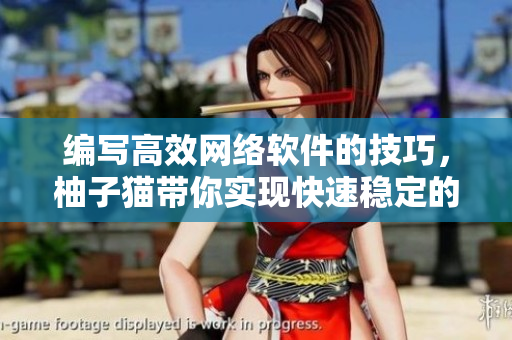 編寫高效網(wǎng)絡(luò)軟件的技巧，柚子貓帶你實(shí)現(xiàn)快速穩(wěn)定的軟件開發(fā)