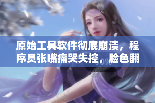 原始工具軟件徹底崩潰，程序員張嘴痛哭失控，臉色翻白眼！