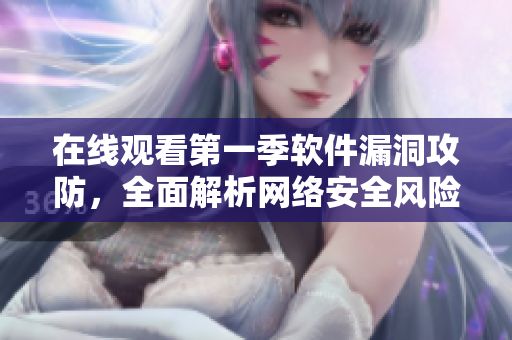 在線觀看第一季軟件漏洞攻防，全面解析網(wǎng)絡(luò)安全風險管理