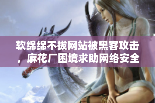 軟綿綿不拔網(wǎng)站被黑客攻擊，麻花廠困境求助網(wǎng)絡(luò)安全軟件