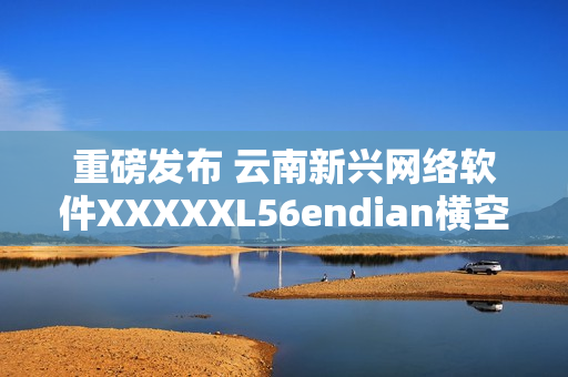 重磅發(fā)布 云南新興網絡軟件XXXXXL56endian橫空出世