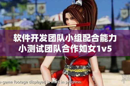 軟件開發(fā)團隊小組配合能力小測試團隊合作如女1v5