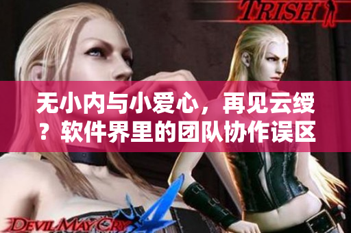 無(wú)小內(nèi)與小愛(ài)心，再見(jiàn)云綬？軟件界里的團(tuán)隊(duì)協(xié)作誤區(qū)與解決方案