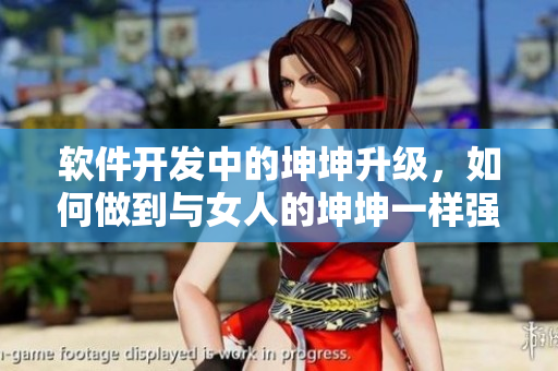 軟件開(kāi)發(fā)中的坤坤升級(jí)，如何做到與女人的坤坤一樣強(qiáng)大？