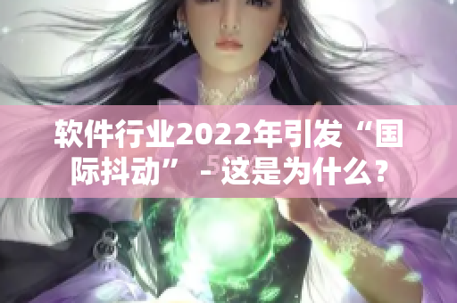 軟件行業(yè)2022年引發(fā)“國際抖動(dòng)” - 這是為什么？